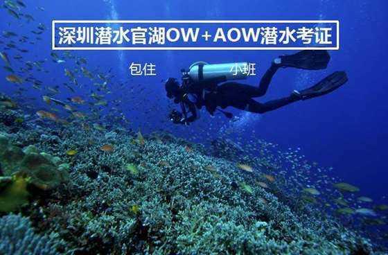 XWD7-71摆线针轮减速机XWD7-71-7.5输出扭矩XW